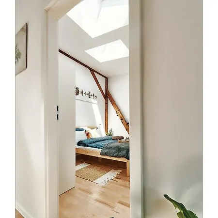 Sunny Apartment At The Heart Of Old Town Krakau Exterior foto